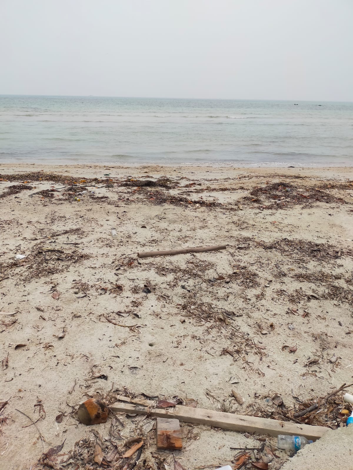 Menghadap ke Pantai