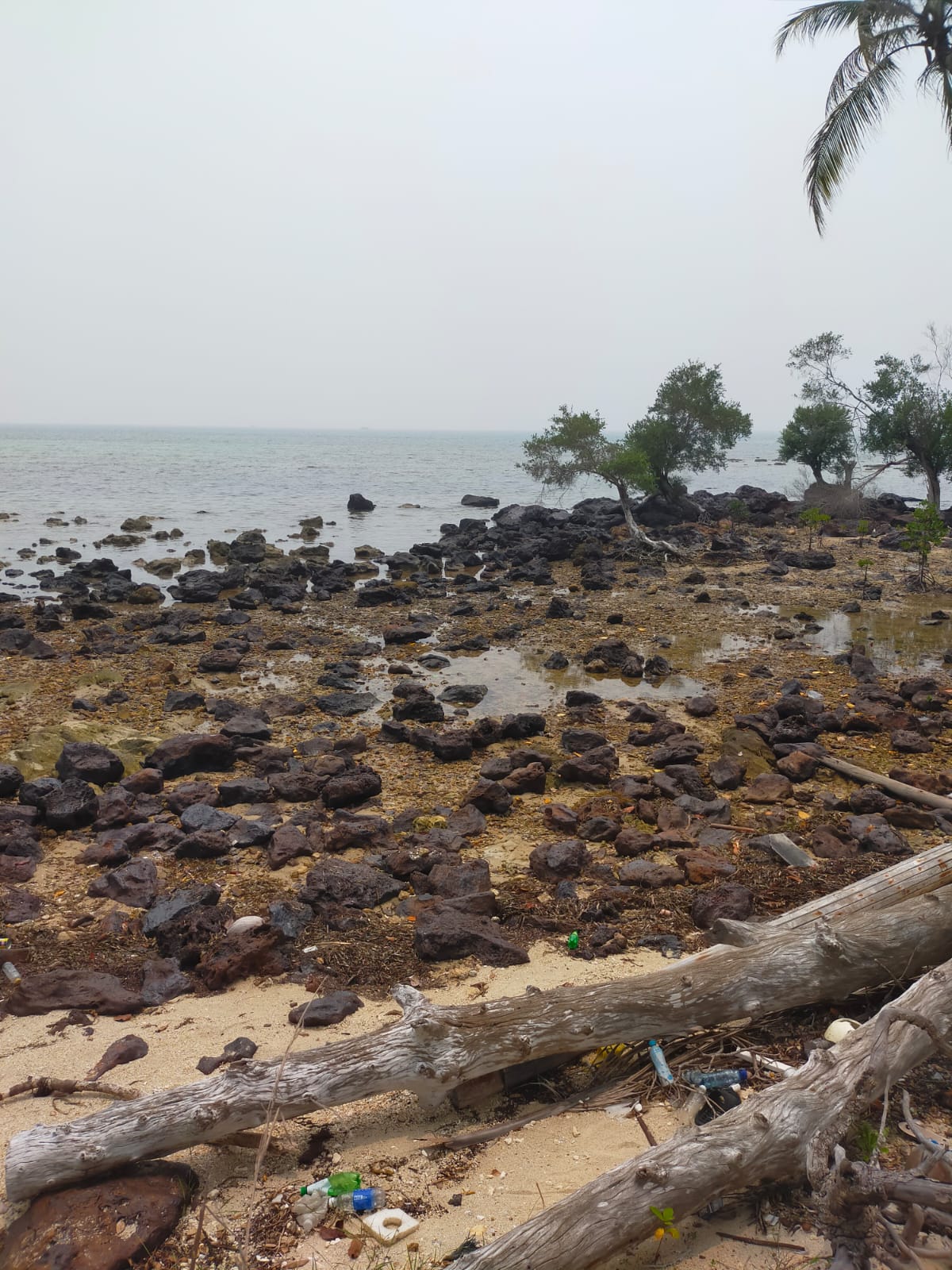 Pantai berbatuan