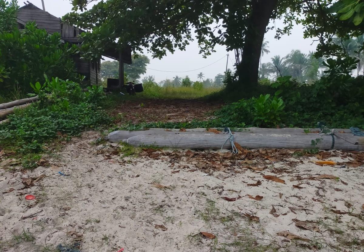 Tanah Belakang Pantai